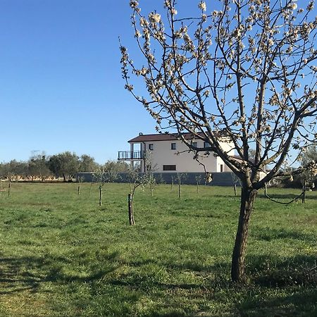 Villa Lydia Marčana Εξωτερικό φωτογραφία