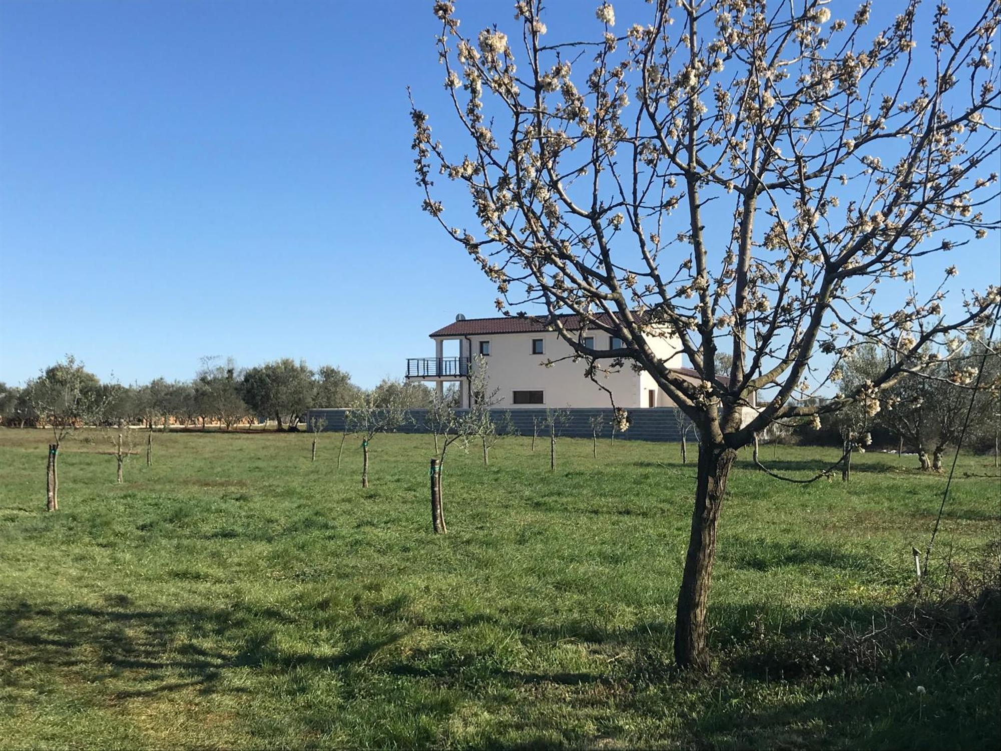 Villa Lydia Marčana Εξωτερικό φωτογραφία