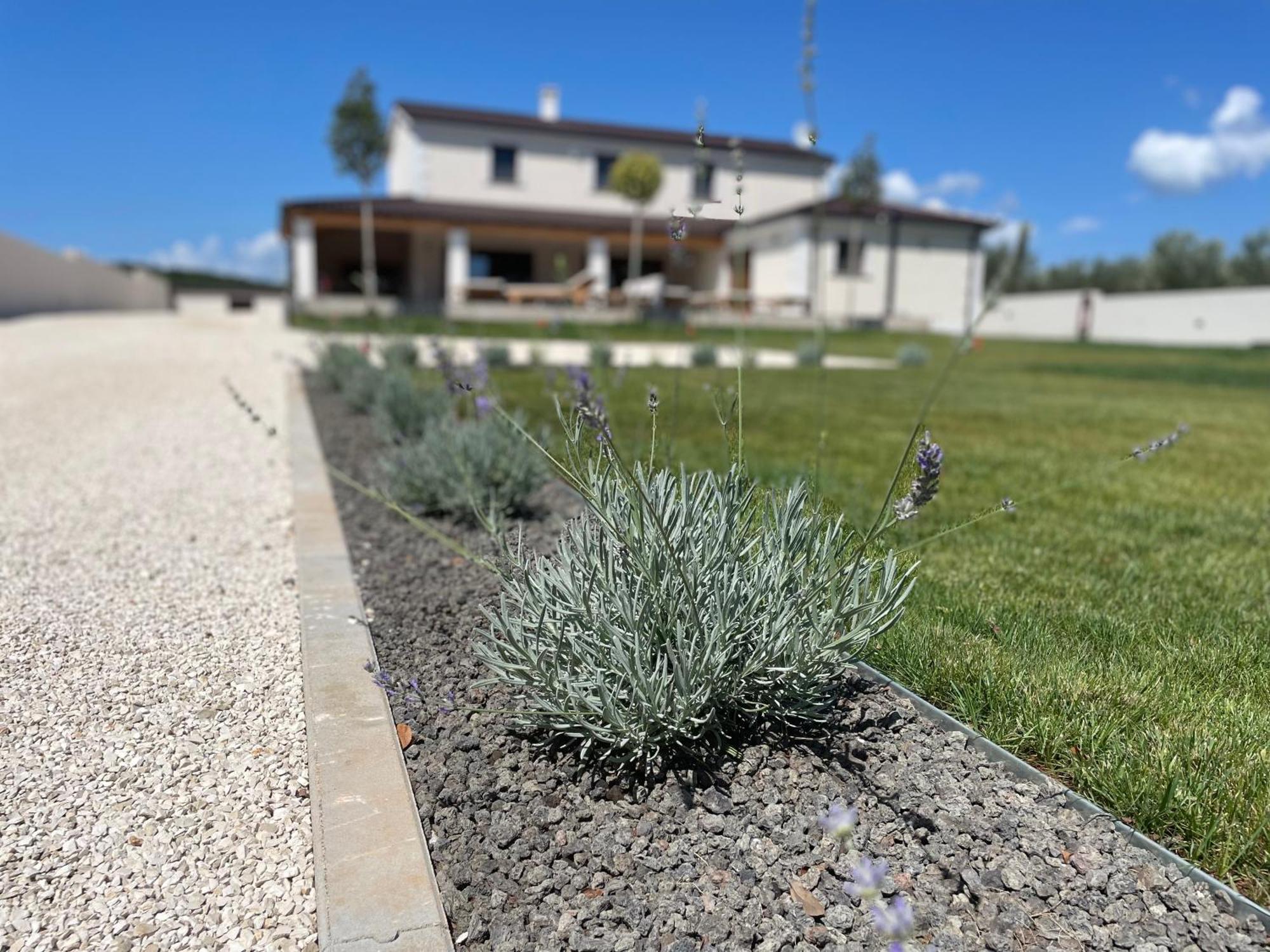 Villa Lydia Marčana Εξωτερικό φωτογραφία